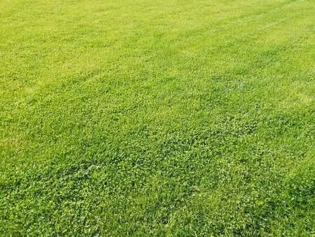 vente terrain à erquy (22430) : à vendre / erquy