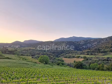 terrain à vendre montpeyroux 2262m2 209 000€
