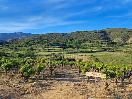 terrain à vendre montpeyroux 2425m2 209 000€