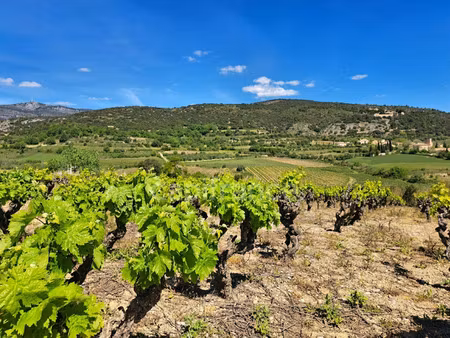 terrain à vendre montpeyroux 3663m2 209 000€