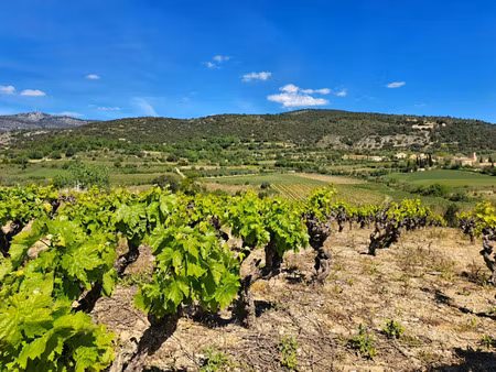 terrain à vendre montpeyroux 569m2 209 000€