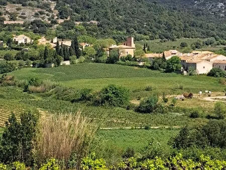 terrain 2425m2 montpeyroux (34) emplacement unique