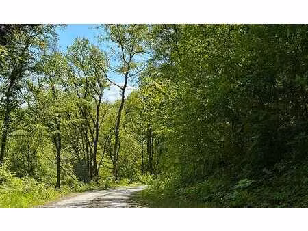 beau terrain à bâtir dans un environnement boisé
