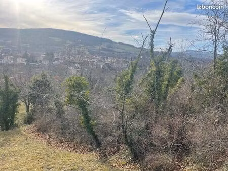 terrain agricole st amant tallende 1110 m²