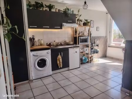 appartement f1 bis 50m2 au sol