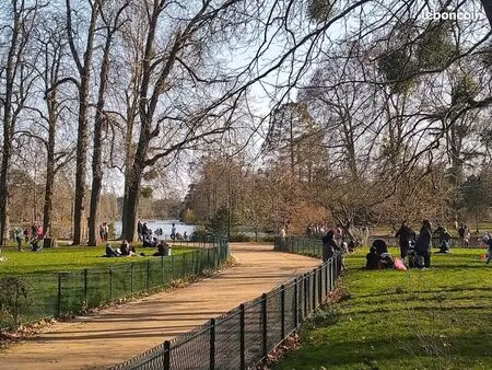 studio 1 pièce 27 m²