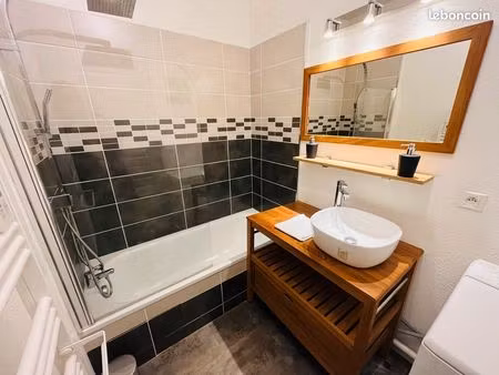 appartement meublé 1 chambre rénové