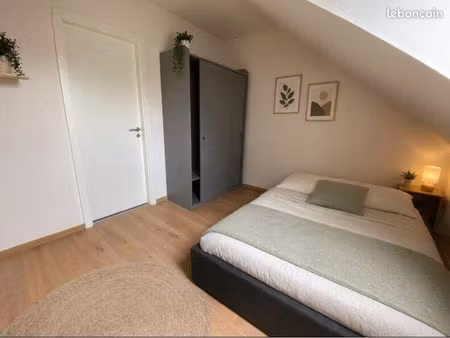 t2 vieux schiltigheim meublé