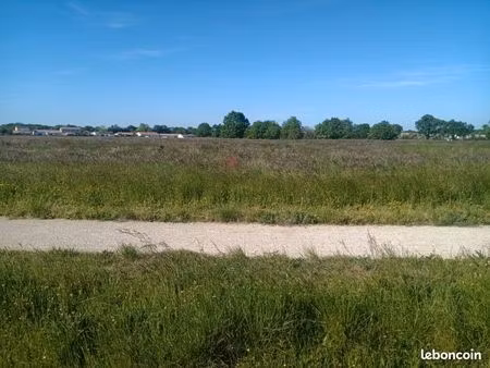 prairie pour pâturage ou fauche