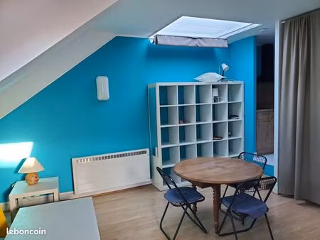 grand studio meublé 34m2 hypercentre