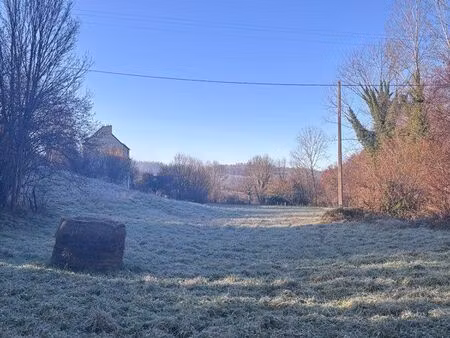 terrain agricole