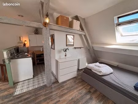 a louer charmant studio meublé hyper-centre d’auxerre  sous les toits en centre-ville (rue