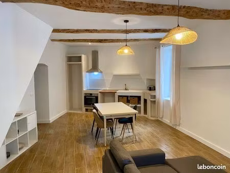 magnifique appartement de village