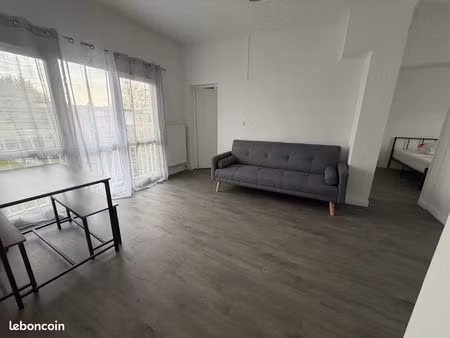 appartement t3 meublé lumineux 2 chambres