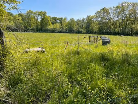 vente ou location prairies