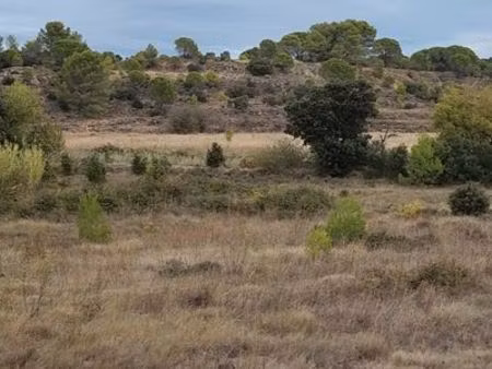 location terrain mixte