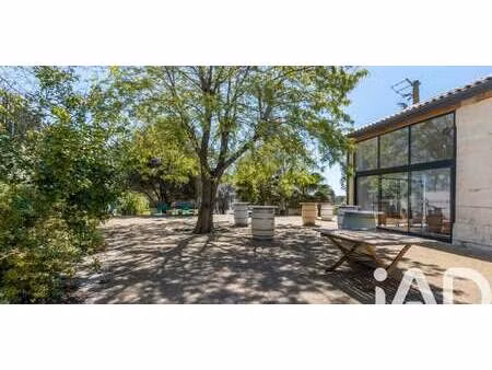 maison avec terrasse pinet (34)