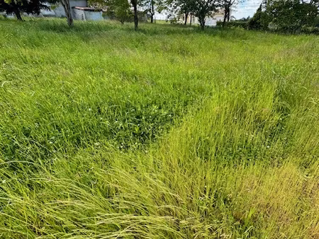 achat terrain 1 124m² montguyon 17270