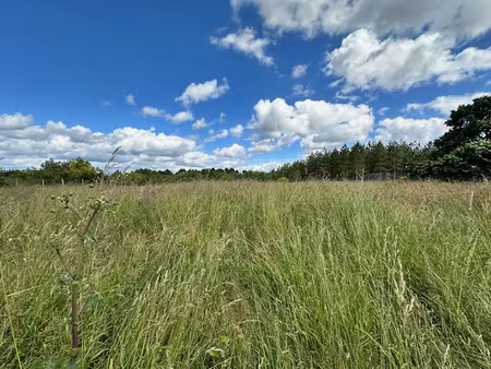 achat terrain 2 303m² montguyon 17270