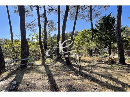 annonce terrain à vendre