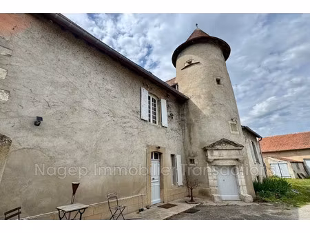 vente maison 10 pièces 295 m² à saint-bonnet-de-rochefort (03800)  360 000 €