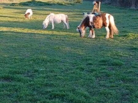 propriété de loisirs à vendre