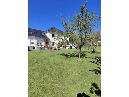 maison f9