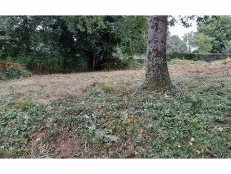terrain constructible à vendre