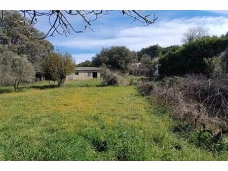 terrain constructible viabilisé à vendre