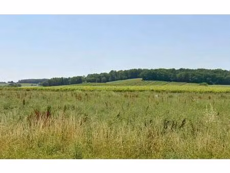 terrain constructible viabilisé à vendre