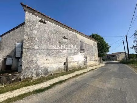 sinecera immobilier