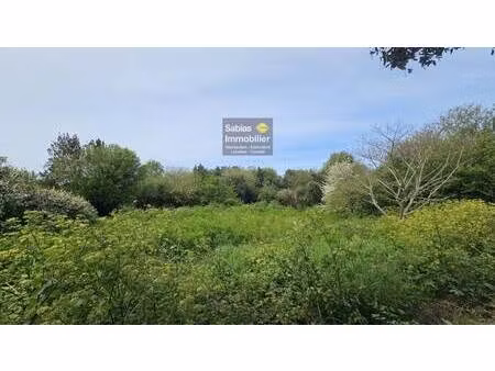 terrain constructible à vendre
