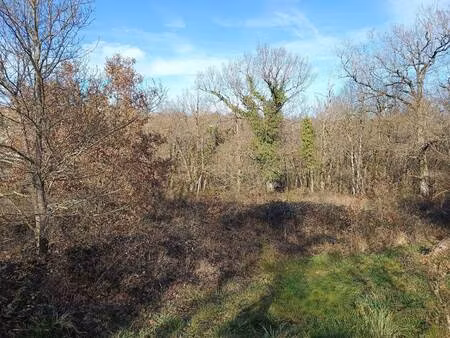 terrain à vendre