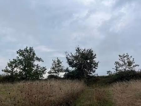 terrain constructible viabilisé à vendre