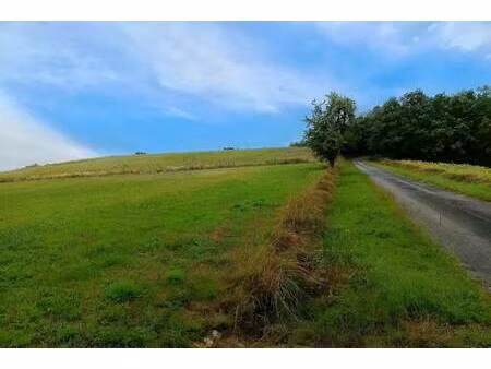 terrain constructible viabilisé à vendre