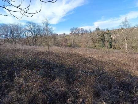 terrain à vendre