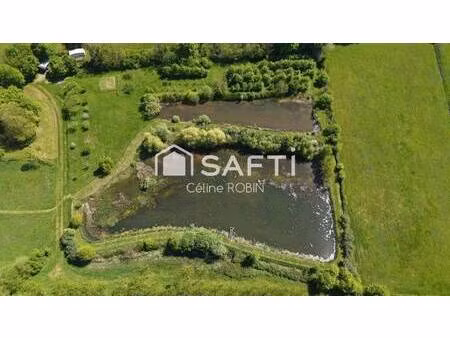 safti robin céline conseiller indépendant