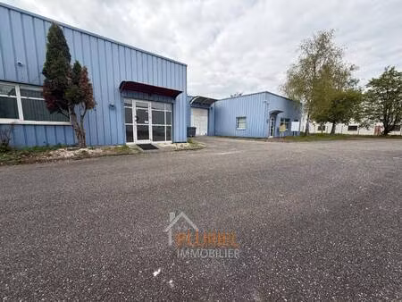 pluriel immobilier