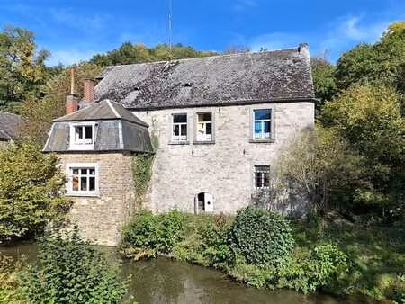 moulin à eau de caractère