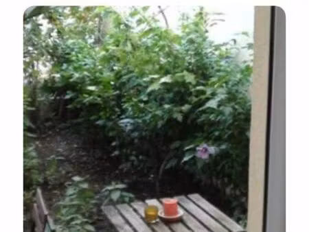 studio 1 pièce 15 m²