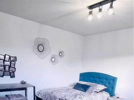 charmant studio meublé de 27m2 bord de loire/quai rhuys/île de nantes/c.h.u