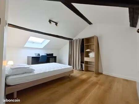 chambre en coliving centre ville roanne