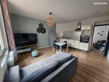 t2 lumineux entièrement rénové – 53 m² – quartier châteaucreux (saint-étienne)