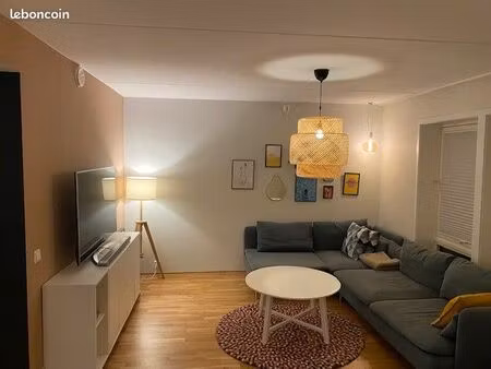 (collectif au sol)  il offre: une entrée avec rangements  lumineux séjour