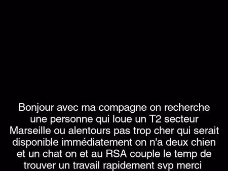 recherches a louer appartement