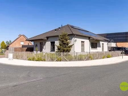 maison à vendre à neerpelt € 749.000 (lnlbf) - ham matimmo vastgoed | zimmo