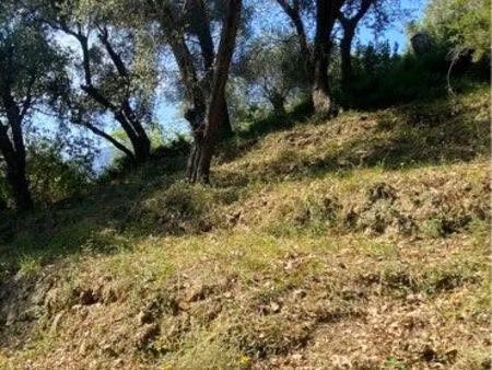 terrain de loisir careï monti- mont gros