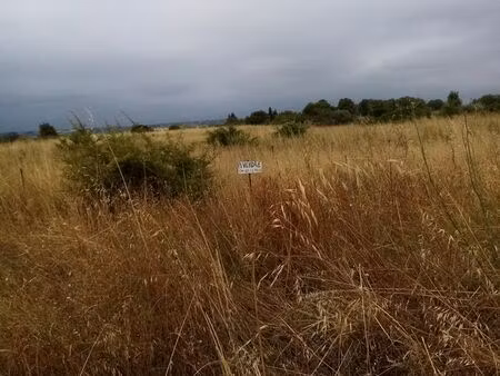 terrain agricole