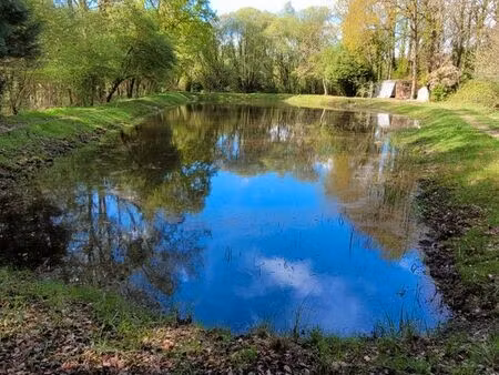 etang au calme pour loisirs