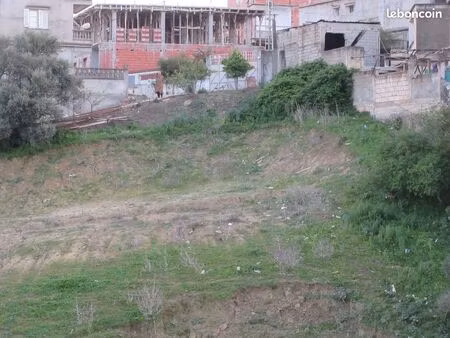 terrain 3 faces douera alger